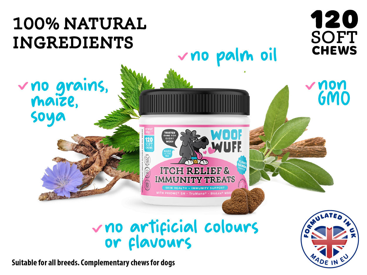 WOOFWUFF PETCARE blog demo